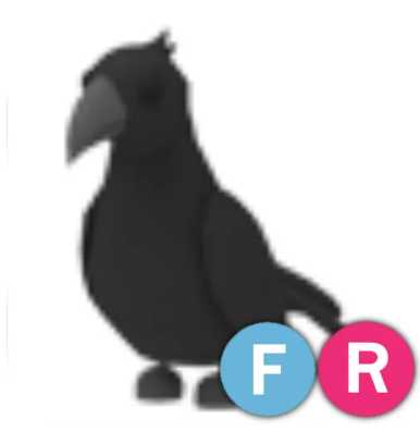 FR CROW ADOPT ME Roblox