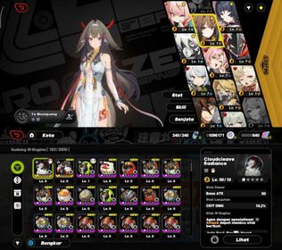 [Asia] | Level 13 | Yeshunguang+Yeshunguang Weapon+Zhao+Lyacon+Jane With Skin | Unset All | Fast Delivery