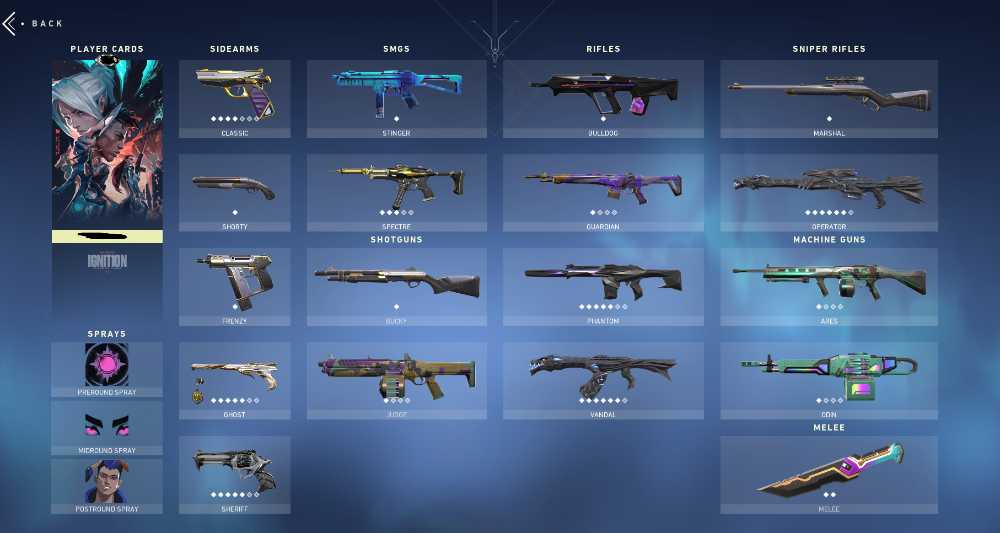 EU 48 SKINS / Glitchpop Dagger / Elderflame Vandal / Reaver Vandal / Prime Vandal / Elderflame Operator / Singularity Phantom / Reaver Sheriff / Sovereign Ghost / Prime Classic / Prime Phantom / FULL ACCESS