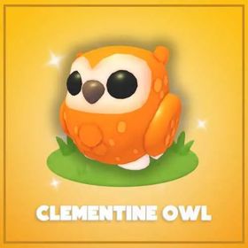 Clementine Owl | Adopt Me