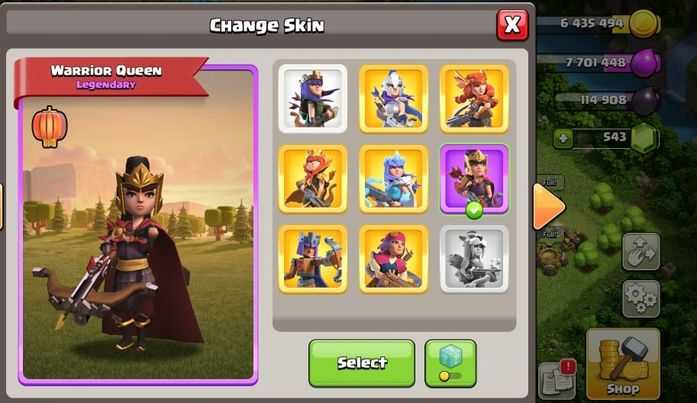 Good Th14 4 Pets 18 Skins Hero Skins Warrior Queen Maxed Builders Base Level 242 Bk80 Aq80 Gw55 Rc30 Bm30