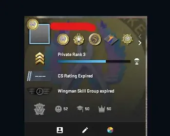 CS1164 //😩/😩/😩/CS2+Prime 8 medals|2020 year|1372 hours|FULL ACCESS + EMAIL