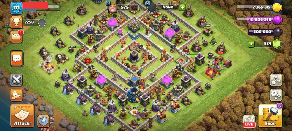 Townhall 12 Level 171 King 32 Queen 46 Warden 13 Gems 524 Account is 100% safe.