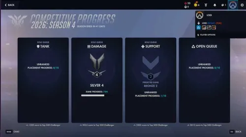 ⭐Silver Dps ⭐Full Access l Handmade