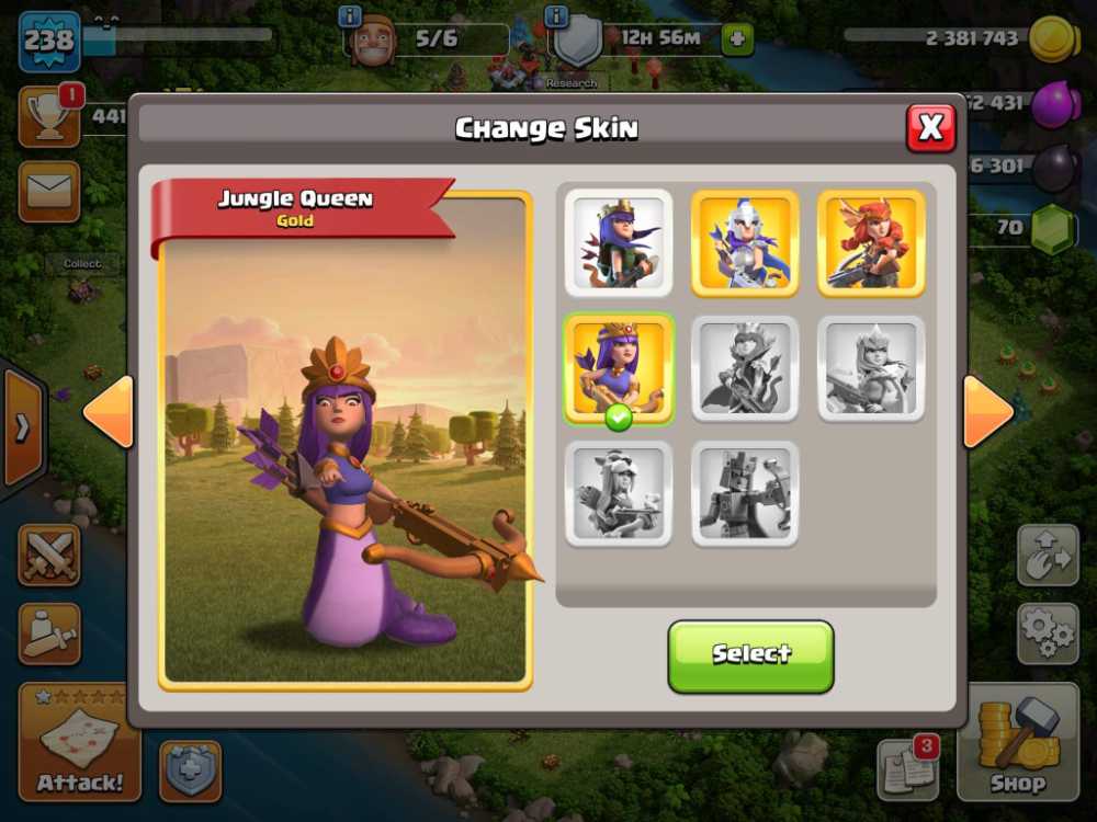 5 of 5
