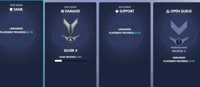 Silver DPS - FREE NAME - INSTANT DELIVERY