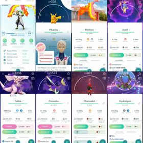 W136 Level 70 Shiny Legendary: Azelf Shiny Hatched:  Igglybuff  Rare Pokemon: Zygarde