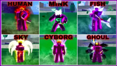 ✅Blox Fruits✅️Lv2800⭐6 Races Full Gear V4 (Mink, Cybor, Fish, Sky, Ghoul, Human)⭐Godhuman⭐Random Luck (CDK+SGT)⭐Random Luck (Leopard+Trex)⭐Unverified