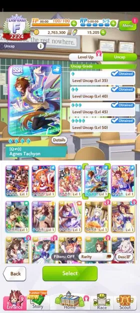 GLOBAL STARTER • AGNES TACHYON MLB (X5 MAX LIMIT BREAK) + LIGHT HELLO LB1 SSR SUPPORTER CARD + 15.000 CARATS • LOGIN BY TRAINER ID ONLY • INSTANT SUPER FAST DELIVERY #10