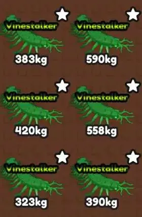 Catch Bugs! || 2 Vinestalker