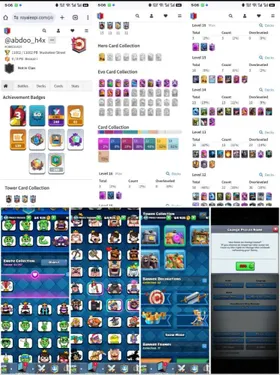 Lvl 60 ~ 1 hero ~ 14 evo ~ 3 lvl 16 ~ 10 elite ~ 23 max lvl 14 ~ 61 emotes ~ 5 tower skins ~ 500 Nc ~ trophies 11000
