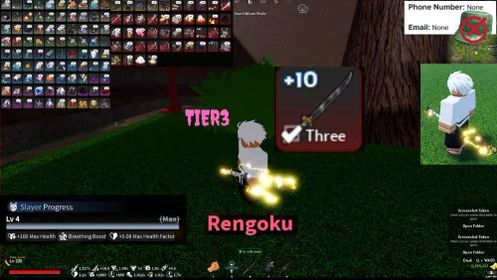 Slayers2| Rangoku Lv225 | Demon Progress| Nighfall Sickles+10 T3 Robiox Unverified Account | Instant Delivery