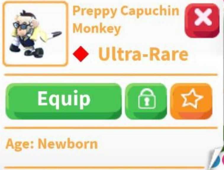 Preppy capuchin monkey adopt me