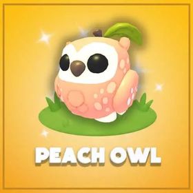 Peach Owl | Adopt Me