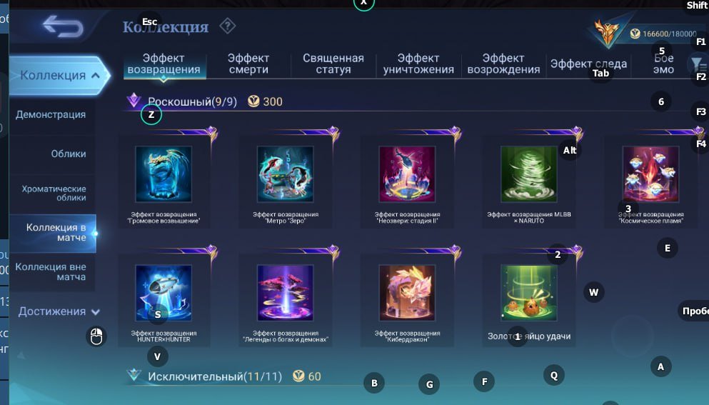 9 of 9