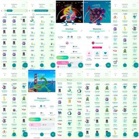 8×Armored Mewtwo,Mega Greninja(BG),Rayquaza(San Francisco BG),Hawlucha,Cosmog & Champion Piku(San Francisco BG),Cosrume Gengar