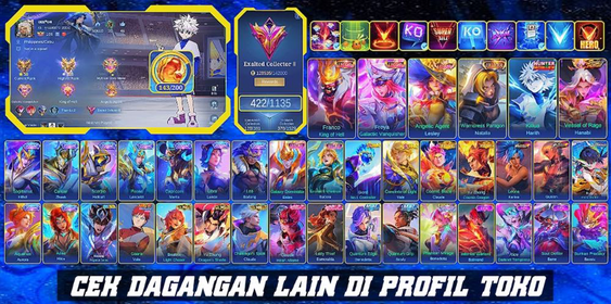 EX IMMO | 422 SKINS | 3 SKIN LEGENDS | KILLUA | SOUL VESSEL HANABI | 2 KOF GUSION | ASPIRANT RUBY | 2 PRIME | 9 ZODIAC | 18 LIMITED | 32 RARE SHOP |