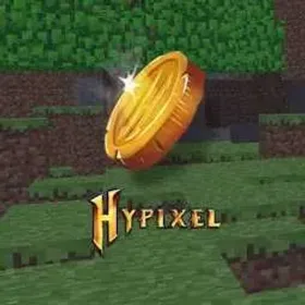 100m Hypixel Skyblock