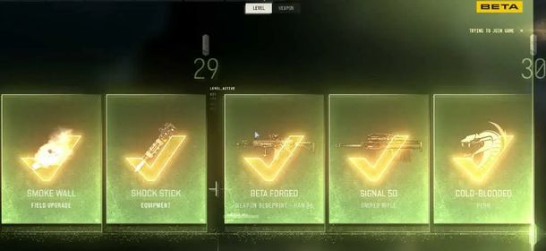 [HANDMADE] BNET MW4 STANDARD EDITION - LEVEL 30- BETA REWARDS - Official release: October 23, 2026