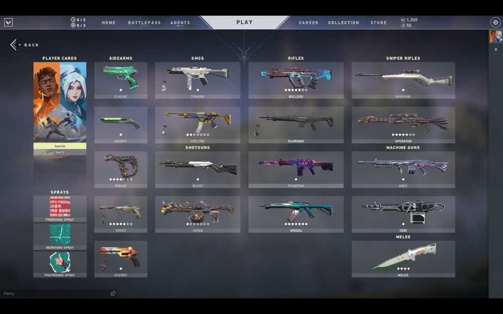 Valorant Account With Singularity Collection Sakura Vandal Prime Vandal Ego Knife And More