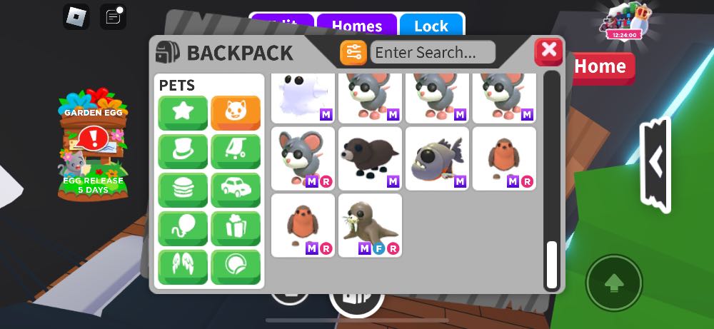 5 of 5