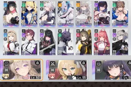 Asia | 31 SSR Combatant (Inc Dupe) and 3 Partner | Rate On Pity 38 | Selector On