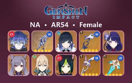 NA|AR54|Flins C1 +Sign|+ Yelan +Sign|+ Raiden Shogun |+ Keqing |+ Jean |+ Tighnari C1 | See description for details.#hv2