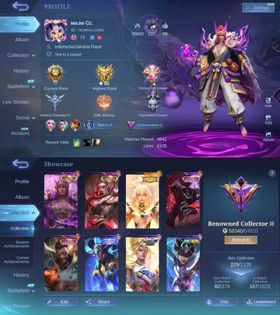 FULL MAX EMBLEM - 229 SKINS - PRIME BEATRIX - 3 COLLECTOR VALIR - YU ZHONG - NATALIA - 2 LUCKYBOX HAYABUSA - ROGER - ZODIAC MARTIS - SAINTSEIYA BADANG - 2 MSC NATAN - VALENTINA - 13 EPIC - ML172