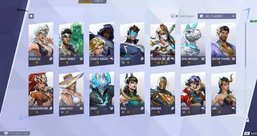 All Platforms 8 skin Summer |NA/EU/ASIA| Hand Leveled |Marvel Rivals | Full Acces| Level 31| Instant
