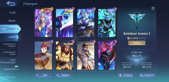EX 349|LV 21|HERO 62|SKIN 88|SENIOR I|1 MAX EMBLEM|VEXANA ZENITH|GORD ANNUAL|VALE GAARA|HANABI VENOM|2 ZODIAC (MINOTOUR,SELENA)|2 LIGHBORN|2 EPIC|5 STARLIGHT|