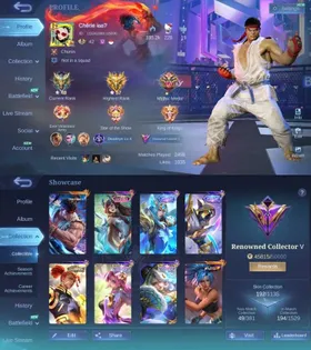 192 SKINS - STREET FIGHTER PAQUITO - KOF KARINA - LUCKYBOX KAGURA - COLLECTOR NATALIA - 2 ZODIAC LANCELOT - HELCURT - 2 COVENANT LESLEY - BENEDETTA - CHAMPION BRODY - 5  EPIC - ML214