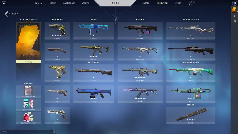 Valorant account (50 skin)
