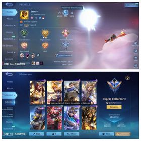ML-018|LV 72|HERO 114|SKIN 194|EXPERT II|EMBLEM ALLMAX|COLECTOR NATALIA|SUN LUNAR FEST|FANY LIGHTBORN|BADANG SEIYA|FAST DELIVERY