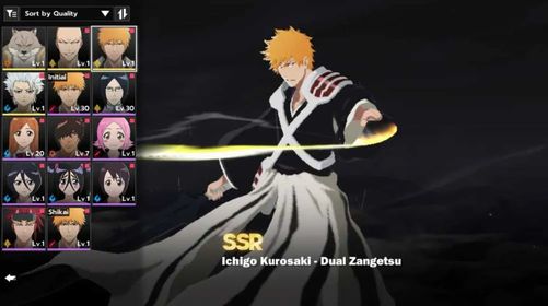 BSR374 – NA Crunchyroll Starter Account | Ichigo Dual Zangetsu + Signature Stamp | Toshiro | Selector Available