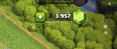 5 of 5