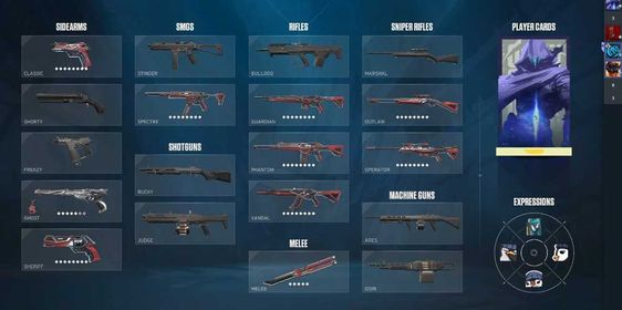 Account with 10/13 RGX Skins.