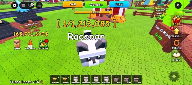 5x Raccoon - Roll A Gnome
