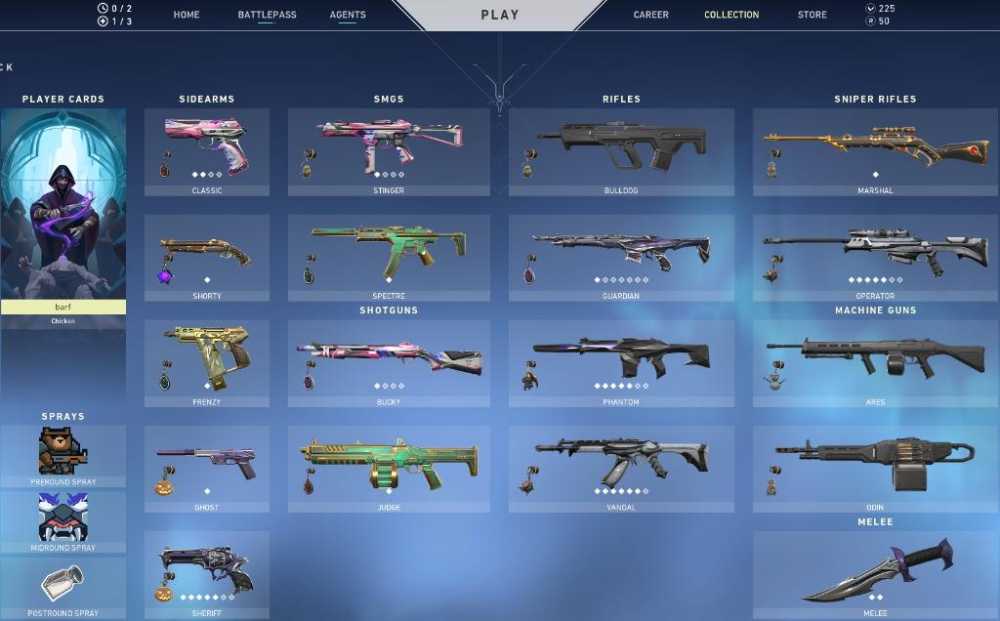 REAVER COLLECTION VALORANT ACCOUNT / SEMI STACKED