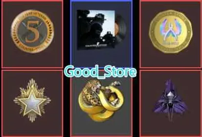CS2 Prime 100 hours+5Medals(Silver Operation Shattered/Diamond Operation Broken/5Y/2023 Service Medal/Global Offensive Badge)