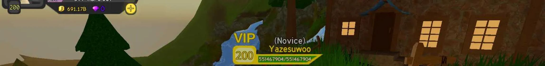 Customize level can boost/carry you in any level you want