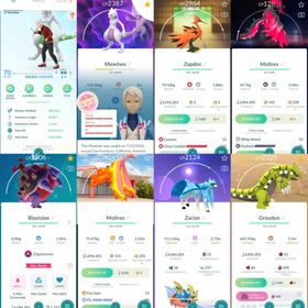W139 Level 70 Shiny Mewtwo Shiny Mega Mewtwo Shiny GMax: Blastoise Shiny Zacian Shiny Legendary: Groudon Shiny Hatched: Pichu, Mantyke