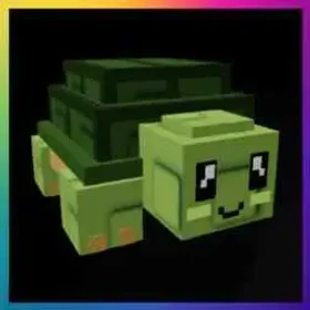 17x Turtle