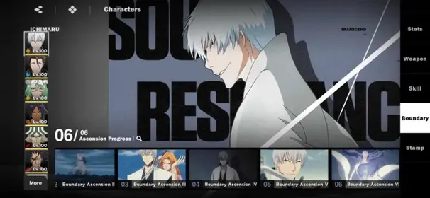 Nuverse/SEA | B6 Gin+Sign A3, B2 Nelliel, B2 Aizen+Sign A2, B1 Soi Fon | 9 Limited+9 Sign | Perfect Build/Damage |Lv78