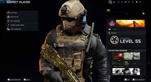 Level 55 ✅ 3 Guns Maxed ✅ 3 Guns Gold ✅ Handmade ✅ Meta Loadout ✅ Linkable to Steam, Xbox, Battle.net and PSN ✅ Full Access
