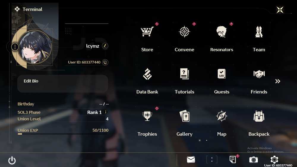 Mushuklar va mushuklar