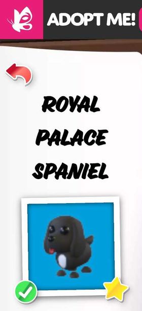 ROYAL PALACE SPANIEL FR