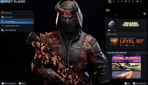 Prestige Master / Level 107 ✅ 30 Apocalypse + 30 Infestation Camos ✅ Handmade ✅ Linkable to Xbox, Steam, Battle.net and PSN ✅ Full Access
