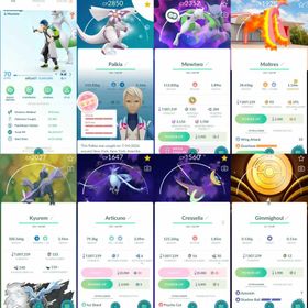 W135 Level 70 Shiny Mewtwo Shiny Mega Mewtwo Shiny Kyurem Shiny Hatched: Togepi