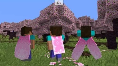 🍃 Cherry Blossom Cape | 🌍 Full Access | 🎮 Java Edition | ⚡ Instant Delivery | 🔐 Secure & Verified
